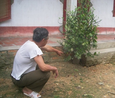 Bí ẩn “đồi đốt xác” - 3